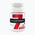 Shilajit Mumio 7Nutrition immune system 400mg 120 capsules 7Nu000456