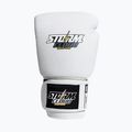 Boxing gloves StormCloud Blizzard white/black 2