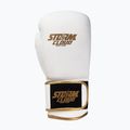 Boxing gloves StormCloud Boxing Pro white/gold 2