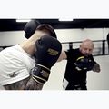 Boxing gloves StormCloud Boxing Pro black/gold 12