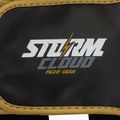 Boxing helmet StormCloud Lynx black/gold 5