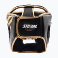 Boxing helmet StormCloud Lynx black/gold 4