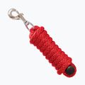 York Milo horse tether red 251206