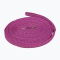 York Stripe pink horse lunge 50320