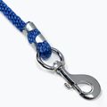 York Milo grey horse tether 251208 2