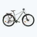 Mountain bike KROSS Hexagon 4.0 EQ 29" silver/green/shine