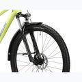 Mountain bike KROSS Hexagon 2.0 EQ 29" lime/blue/shine 5