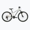 Children's bike KROSS Dust Jr 1.0 grey/black/shine