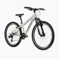 Children's bike KROSS Dust Jr 1.0 grey/black/shine 2