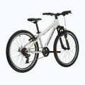Children's bike KROSS Dust Jr 1.0 grey/black/shine 3