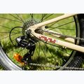 Children's bike KROSS Level Jr 1.0 beige/red/shine 13