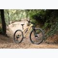 Women's mountain bike KROSS Level 6.0 beige/brown/shine 13