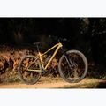 Mountain bike KROSS Level 6.0 brown/graphite 13