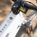 Men's electric bike KROSS Moon Boost 1.0 el. 630 Wh grey/black/shine 18
