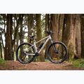 Mountain bike KROSS Hexagon 5.0 27.5" 2025 grey/grey/shine 13