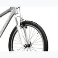 Women's mountain bike KROSS Lea 1.0 silver/white/shine 5