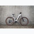 Women's electric bike KROSS Influx Hyb 1.0 720Wh grey/gold/shine 14