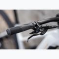 Women's electric bike KROSS Influx Hyb 1.0 720Wh grey/gold/shine 15