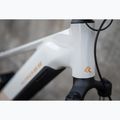 Women's electric bike KROSS Influx Hyb 1.0 720Wh grey/gold/shine 16