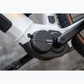 Women's electric bike KROSS Influx Hyb 1.0 720Wh grey/gold/shine 17