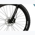 Mountain bike KROSS Hexagon 4.0 29" blue/black/shine 7