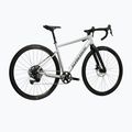 Gravel bike KROSS Esker 1.0 grey/graphite/mat 3