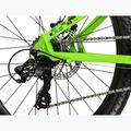 Children's bike KROSS Dust Jr 1.0 Dsc green/green/shine 7
