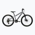 Children's bike KROSS Dust Jr 1.0 Dsc grey/navy/matte