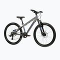 Children's bike KROSS Dust Jr 1.0 Dsc grey/navy/matte 2