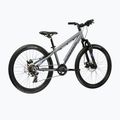 Children's bike KROSS Dust Jr 1.0 Dsc grey/navy/matte 3