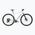 Gravel bike KROSS Esker 1.0 FL grey/purple/shine