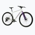 Gravel bike KROSS Esker 1.0 FL grey/purple/shine 2