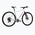 Gravel bike KROSS Esker 1.0 FL grey/purple/shine 3