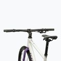 Gravel bike KROSS Esker 1.0 FL grey/purple/shine 4