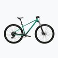 Mountain bike KROSS Level X100 green/black/mat