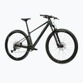 Mountain bike KROSS Level RS 1.0 green/kameleon/shine 2