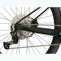 Mountain bike KROSS Level RS 1.0 green/kameleon/shine 7