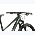 Mountain bike KROSS Level RS 1.0 green/kameleon/shine 10