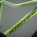 Women's mountain bike KROSS Lea X200 W 29 green/green/matte 12