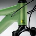 Women's mountain bike KROSS Lea X200 W 29 green/green/matte 14