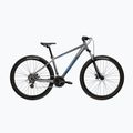 Mountain bike KROSS Hexagon X200 29" grey/blue/mat