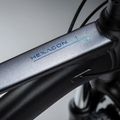 Mountain bike KROSS Hexagon X200 29" grey/blue/mat 14