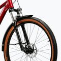 Mountain bike KROSS Hexagon X200 EQ 29" ruby/graphite/shine 5