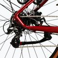 Mountain bike KROSS Hexagon X200 EQ 29" ruby/graphite/shine 7