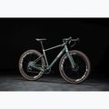 Gravel bike KROSS Esker ADV 3.0 green/grey/silver/mat 14