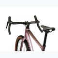 Gravel bike KROSS Esker 6.0 kameleon/mat/shine 5