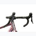 Gravel bike KROSS Esker 6.0 kameleon/mat/shine 6