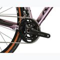 Gravel bike KROSS Esker 6.0 kameleon/mat/shine 10