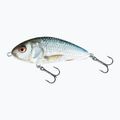 Salmo Fatso FL real dace wobbler QFA003