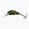 Salmo Hornet FL beetle wobbler QHT013